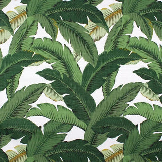 Tommy Bahama