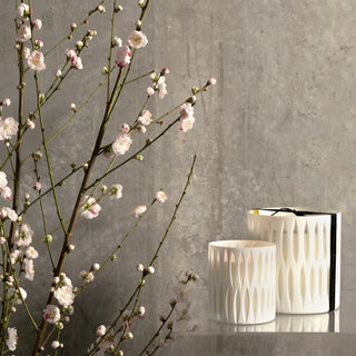 Glimpse Blanc Luxury Candle 1.7kg by Apsley and Company