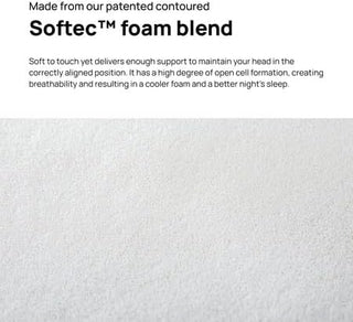 Dentons Posture Plus Pillow