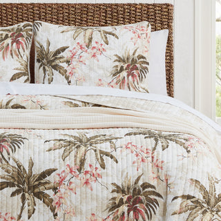 Bonny Cove Coconut Coverlet by Tommy Bahama