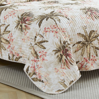 Bonny Cove Coconut Coverlet by Tommy Bahama