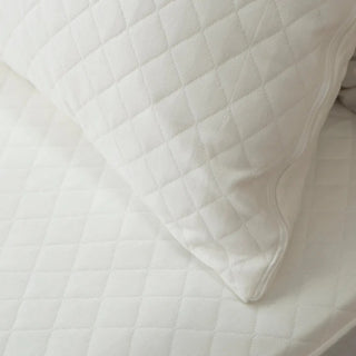 Cumulus™ Cotton Jacquard Waterproof Pillow Protector by Protect-A-Bed
