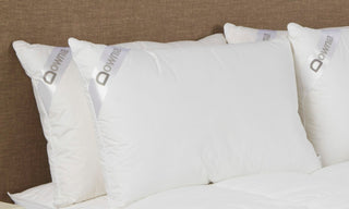 HOTEL COLLECTION COMMERCIAL microfibre blend KING pillow (MEDIUM) by Downia