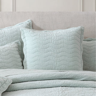 Indianna Sage European Sham by Private Collection