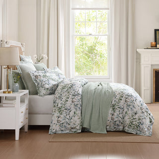 Starlet Sage Quilt Cover Set by Private Collection