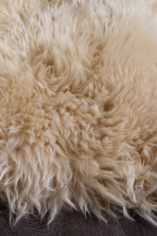 Natural New Zealand Sheep Skin Rug (Champagne) by Rug Culture