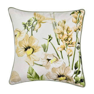 Makayla Filled Cushion Velvet 43x43cm by Bianca