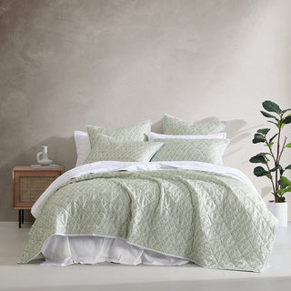 Shelby Sage Coverlet Set by Logan and Mason