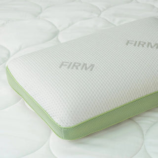 Signature Tencel™ Jacquard Memory Foam Pillows by Protect-A-Bed