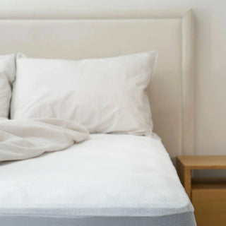 Staynew Cotton Terry Waterproof Pillow Protector by Protect-A-Bed