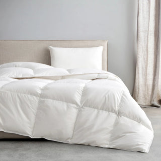 Deluxe Feather & Down Medium Weight Quilt by Sheridan
