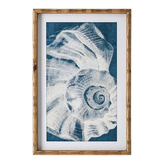 Elouera Vintage Shells Wall Art Set Of 3 by Florabelle