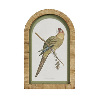 Parrots In Arches Wall Art Set Of 4 by Florabelle