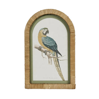 Parrots In Arches Wall Art Set Of 4 by Florabelle