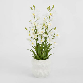 Real Touch Potted Cymbidium 90cm
