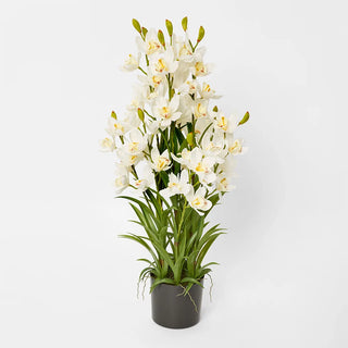 Real Touch Potted Cymbidium 90cm