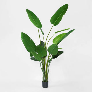 Bird of Paradise 2.5m by Florabelle