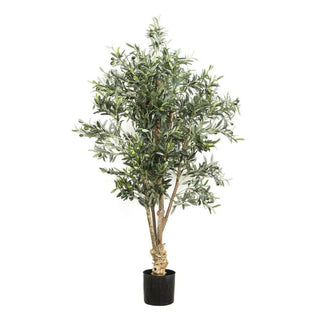 Olive Tree 1.5m by Florabelle