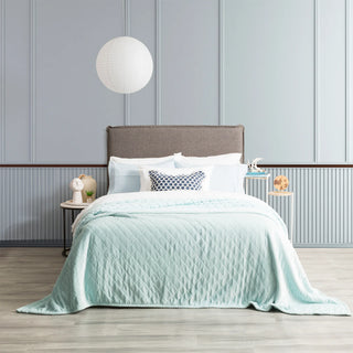 Heston Sherpa Ultra Soft Velvet Blanket BLUE by Renee Taylor