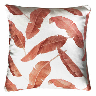 Daydream Noosa Blush Square Filled Cushion 50 x 50cm by Zaab