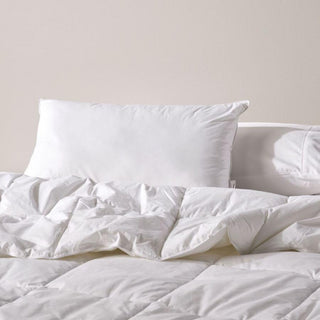 Bamboo Standard Pillow 1000GSM by Linen House