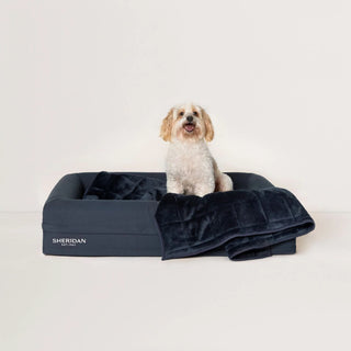 Reggie Pet Bed by Sheridan
