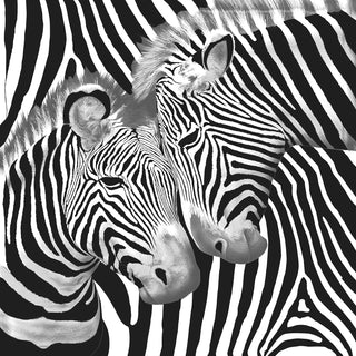Mink Blanket ZEBRA Super Soft Heavy Weight 2 Ply by Renee Taylor