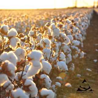 400 Thread Count Egyptian Cotton Sateen MIST SHEET SETS by Logan & Mason Platinum