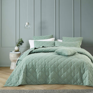 Bianca Barclay Coverlet Set Olive