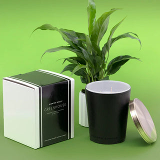 Leather Candle Greenhouse 900g by Apsley and Company