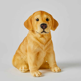 Kids Lamp Night Light Labrador by Jiggle & Giggle