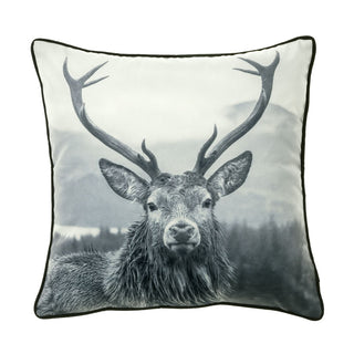 Alpine Coordinate Velvet Cushion 43 x 43cm  by Bianca