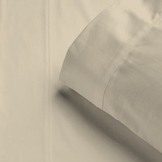 1000TC STONE Cotton Rich Sheet Sets by Luxury Living 